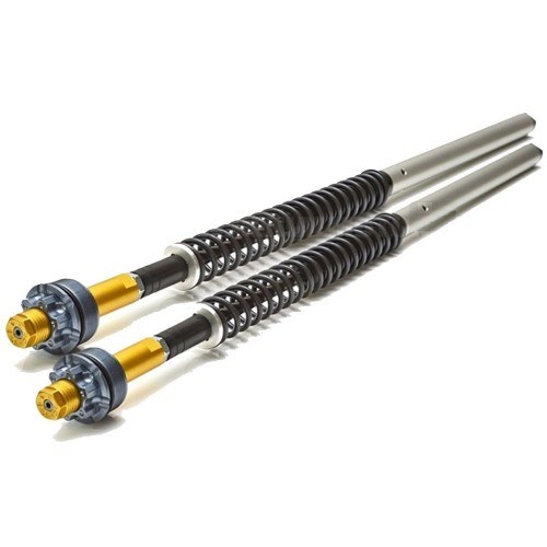 Kit Cartucce Forcella Regolabili "misano" Andreani 110/HD2