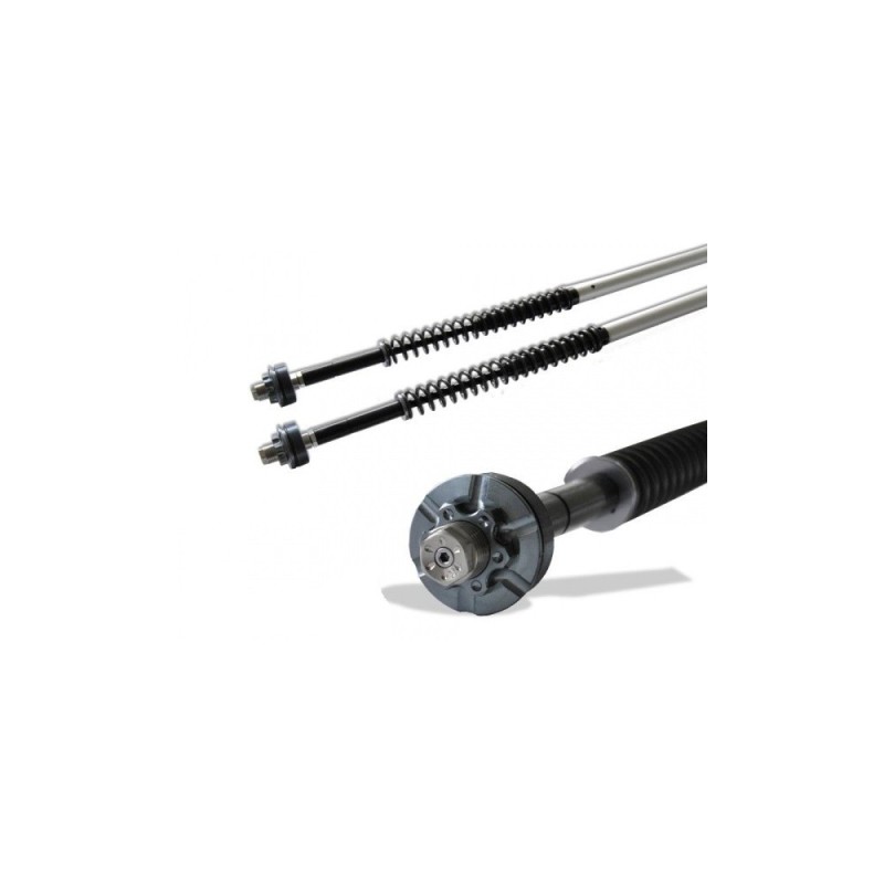 Kit Cartucce Forcella Regolabili "misano" Andreani 110/HD10