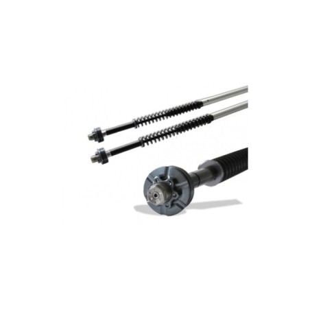 Kit Cartucce Forcella Regolabili "misano" Andreani 110/HD10