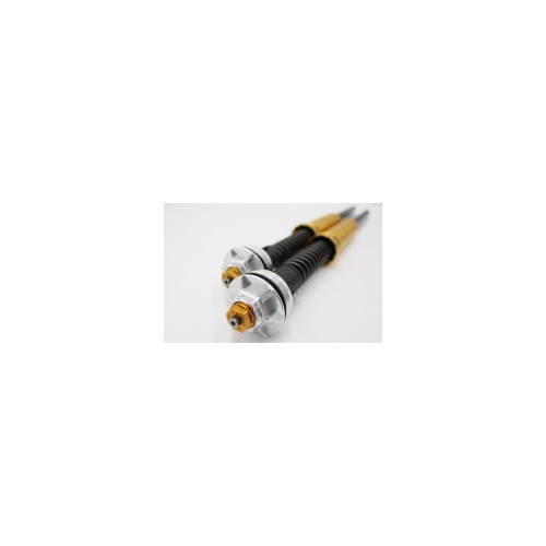 Kit Cartucce Forcella ANDREANI 115/HD1E per Harley