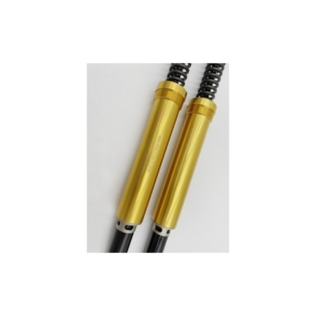 Kit Cartucce Forcella ANDREANI 115/HD1E per Harley