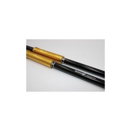 Kit Cartucce Forcella ANDREANI 115/HD1E per Harley
