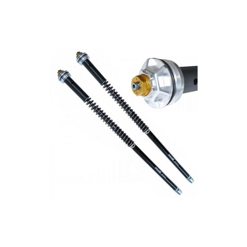 Kit Cartucce Forcella ANDREANI 105/G16E per Moto Guzzi
