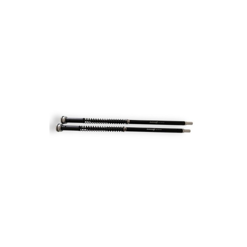 Kit Cartucce Forcella ANDREANI 305/Y46E per Yamaha YZF R1