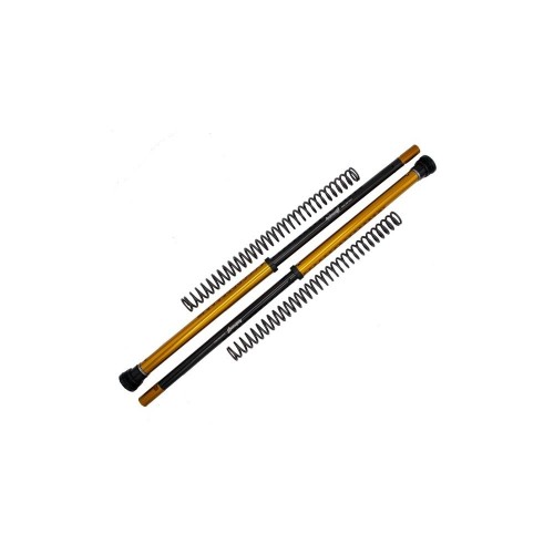 Kit Cartucce Forcella ANDREANI 115/Z01E per Kit cartucce