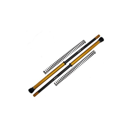 Kit Cartucce Forcella ANDREANI 115/Z01E per Kit cartucce