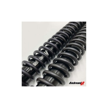 Kit Cartucce Forcella ANDREANI 115/Z01E per Kit cartucce