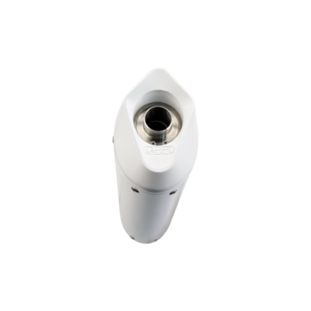 Scarico GPR Albus Ceramic per BMW F 800 -S -ST dal 2006 al 2011 omologato
