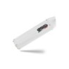 Scarico GPR Albus Ceramic per BMW R 1200 R dal 2011 al 2014 omologato