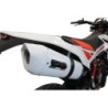 Scarico GPR Albus Evo4 per Beta RR 125 4T Enduro dal 2019 al 2020 omologato