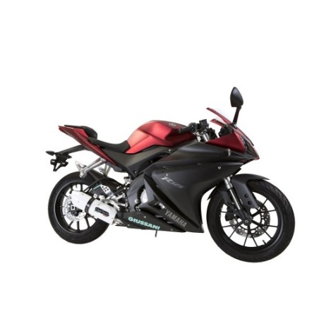 Scarico GPR Albus Evo4 per YAMAHA Yzf-R 125 dal 2017 al 2018 omologato