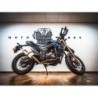 Scarico GPR Albus Evo4 per Zontes Zt 125 G1 - U - U1 - Z2 dal 2020 al 2024 omologato