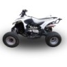 Scarico GPR Deeptone ATV per Aeon Cobra 350 dal 2007 al 2021 omologato