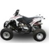 Scarico GPR Deeptone ATV per Aeon Cobra 400 dal 2010 al 2021 omologato