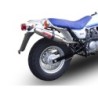 Scarico GPR Deeptone Inox per SUZUKI Rv 125 Van Van dal 2003 al 2017 omologato