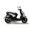 Scarico GPR Deeptone Inox per YAMAHA Zuma 125 dal 2009 al 2015 racing
