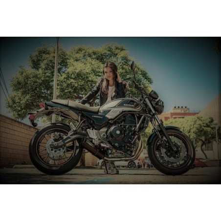 Scarico GPR M3 Black Titanium per Kawasaki Z 650 RS dal 2021 al 2023 omologato