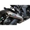 Scarico GPR Powercone Evo per Kawasaki Ninja 1000 Sx 2020 omologato