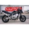 Scarico GPR Trioval per YAMAHA Fzs 1000 Fazer dal 2001 al 2005 omologato