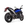 Akrapovic Slip-On Omologato Carbonio per BMW R 1300 GS 2024-2026