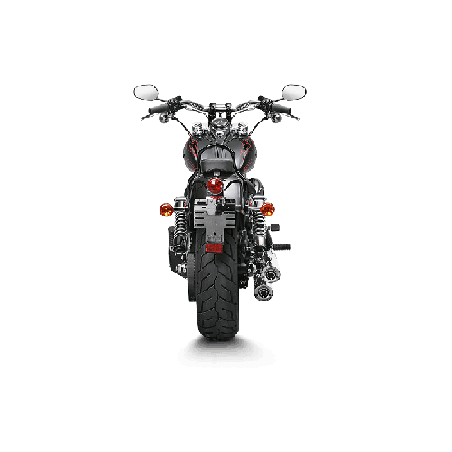 Akrapovic Slip-On Omologato per Harley Davidson FXDWG Wilde Glilde