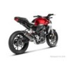 Akrapovic Silenziatore Non omologato Carbonio per Honda CB 300 R 2019-2020