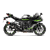 Akrapovic Silenziatore Omologato Carbonio per Kawasaki ZX-6 R / 636 ZX-6R 636 2009-2026 / 2013-2020