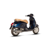 Akrapovic Silenziatore per Piaggio Vespa GTS 300 / Sei giorni / Super