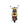 Akrapovic Silenziatore per Piaggio Vespa Primavera 125 / S / Touring