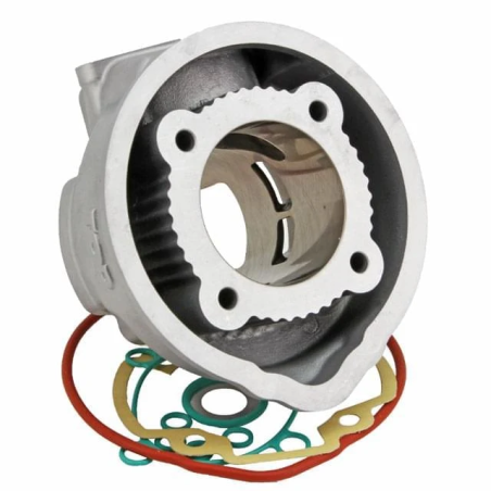Maxi Kit Top Performances TPR 77cc Piaggio 2T LC 9928390