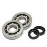 Maxi Kit Top Performances TPR 77cc Piaggio 2T LC 9928390