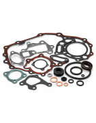 Kit revisione motori