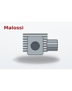 Kit motore Malossi