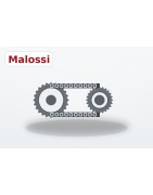 Variatori e Trasmissione Malossi Scooter | Motor Sport