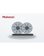 Variatore Malossi